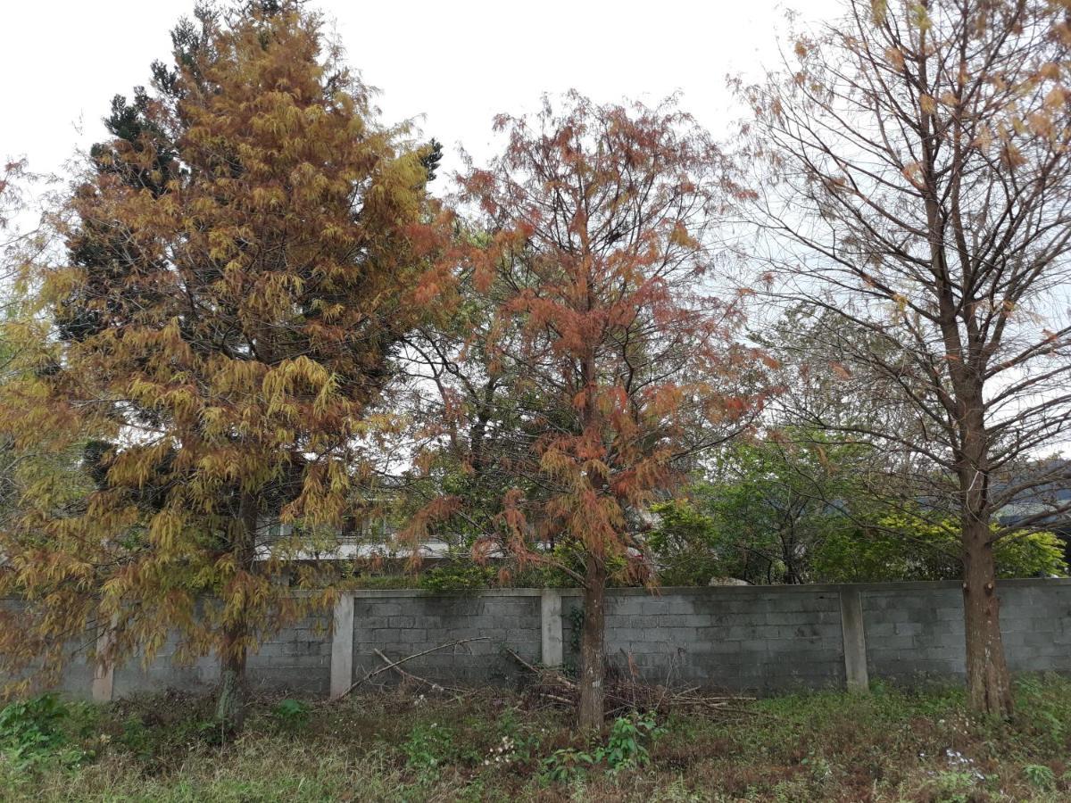 63Inn庭園民宿 Pinghe Luaran gambar